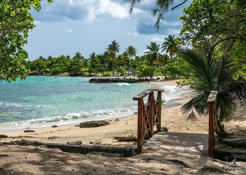 Studio Passion Camelia Acces Direct Plage Hotel Pierre Et Vacances 3 Etoiles Сент-Люс Экстерьер фото